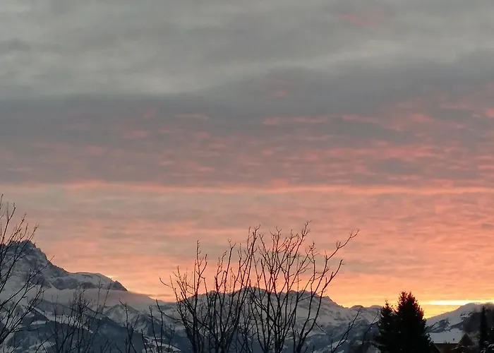 شاليه وينترفال *