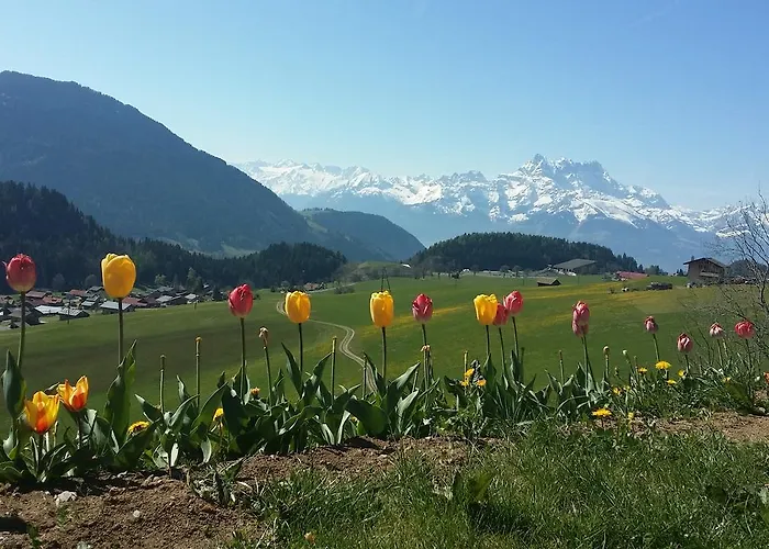 Winterfell * レイサン