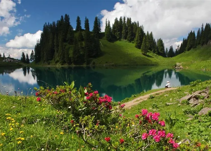 シャレー Winterfell レイサン