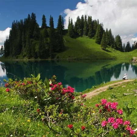 Chalet Winterfell Leysin